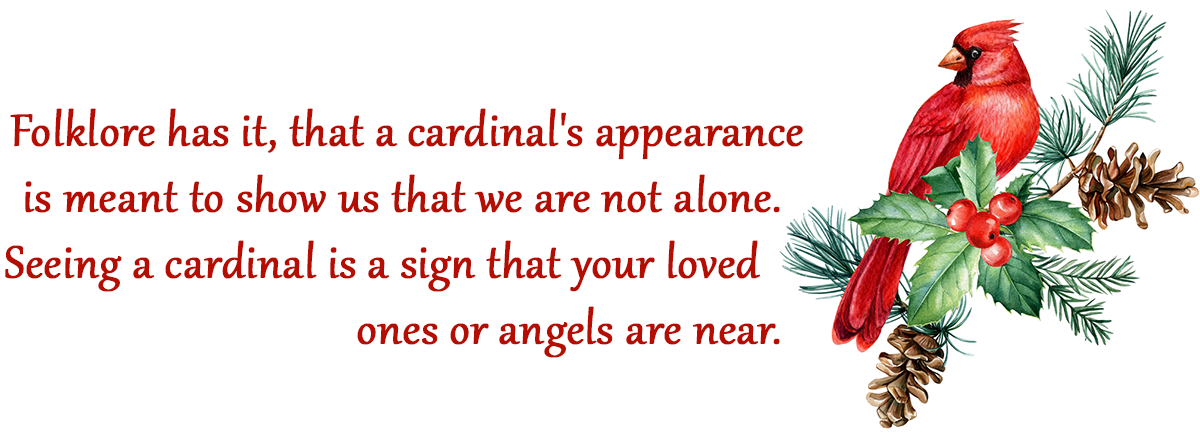 Folklore has it, that a cardinal's appearance is meant to show us that we are not alone.